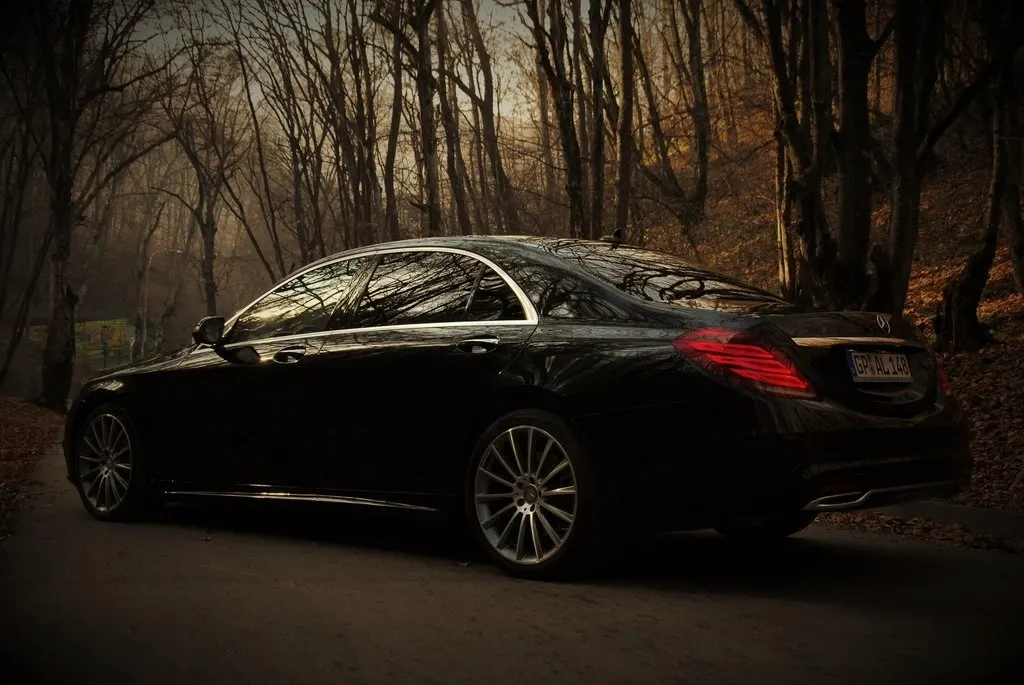 Black luxury sedan parked under trees at dusk